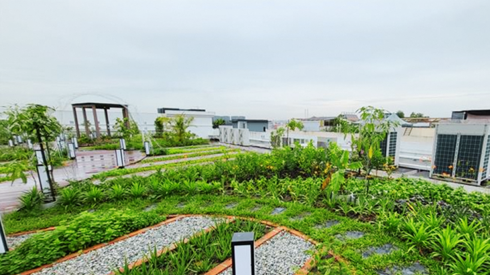 The garden was designed with pavements that lead visitors into the planting beds, promoting interactions with nature.